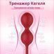 Smart вагінальні кульки Love Spouse силіконовий тренажер Кегеля Magic Motion Flamingo Червоний  X00001254 фото 4